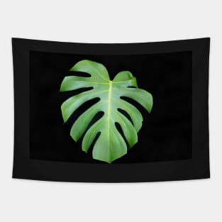 Bright green monstera leaf on black background closeup Tapestry