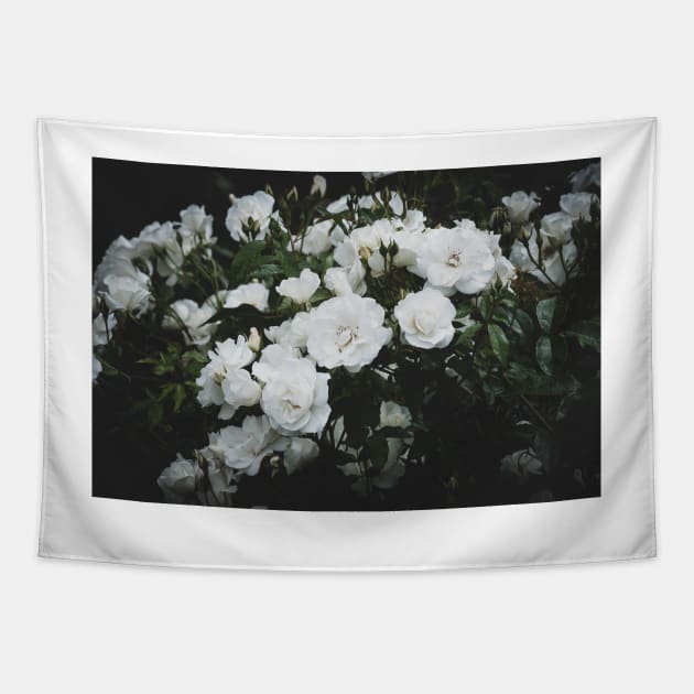 White Roses at Dusk Tapestry by Amy-K-Mitchell