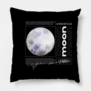 Mysteries of the Moon: Info-Packed Pillow