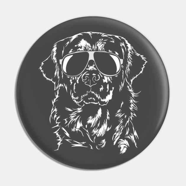 Funny Golden Retriever with sunglasses Pin by wilsigns