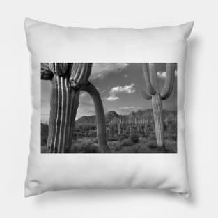 Saguaro Cacti Tucson Mountains Pillow