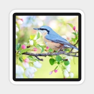 Spring Blue Bird in Watercolor Magnet