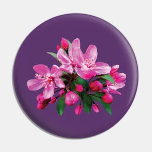 Cherry Blossoms - Two Cherry Blossoms And Buds Pin