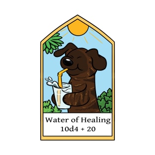 Water of Healing T-Shirt