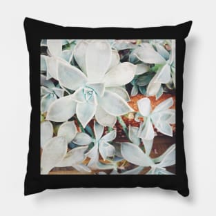 Succulent Falls Pillow