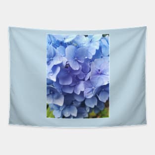 Blue hydrangea photograph Tapestry