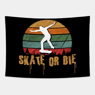 Skate or Die Vintage Tapestry