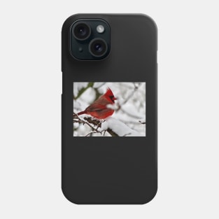 Winter Cardinal 4 Phone Case