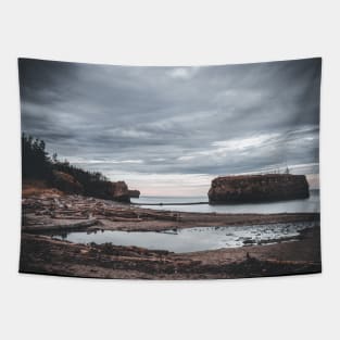 Early Morning at Pokeshaw Rock in New-Brunswick, Canada V2 Tapestry