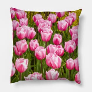 Pink Tulips Pillow