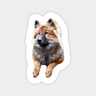 Eurasier - Beautiful Dog Breed Magnet