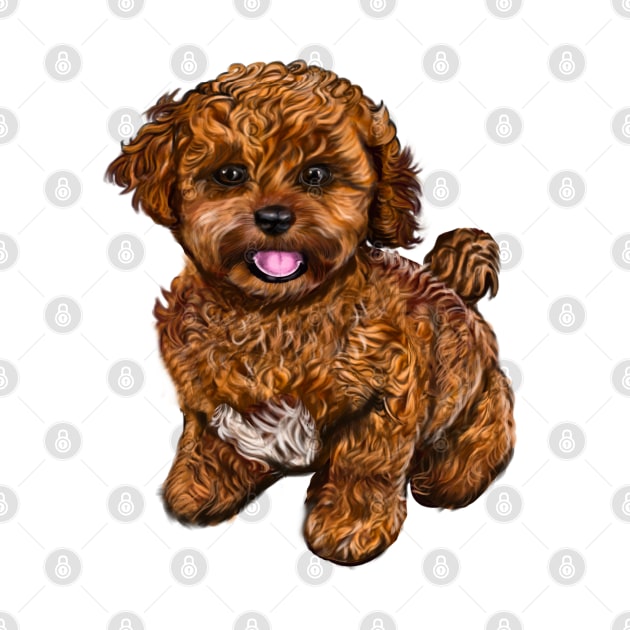 Cavapoochon Cavapoo Cavoodle - cute friendly cavalier King Charles spaniel Bichon frise by Artonmytee