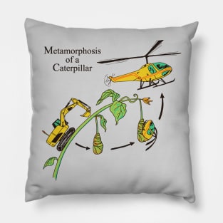 Metamorphosis of a Caterpillar Pillow