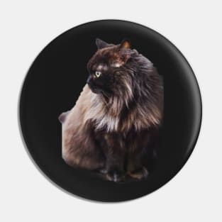 Black cat Pin