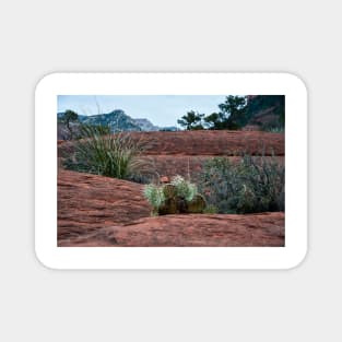 Sedona Cactus Magnet