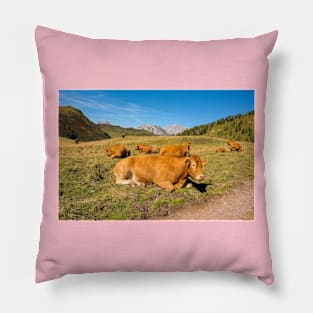 Italian Alpine Cows Pillow