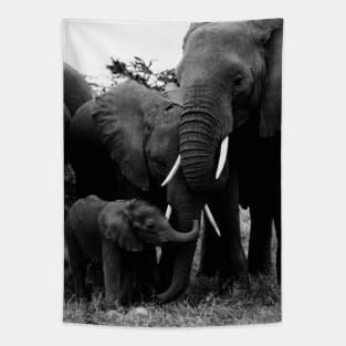 Vintage Kenya Elephants Tapestry