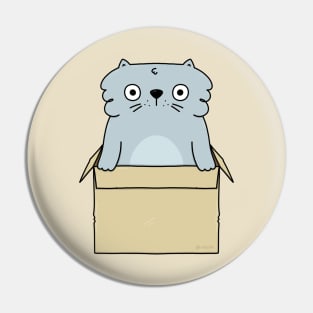 Cat Box Pin