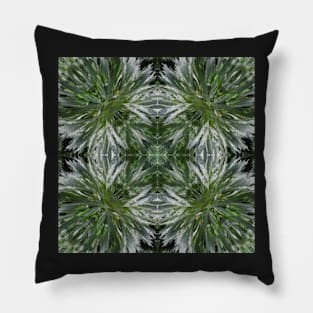 Stocksom Artemisia 6 Pillow