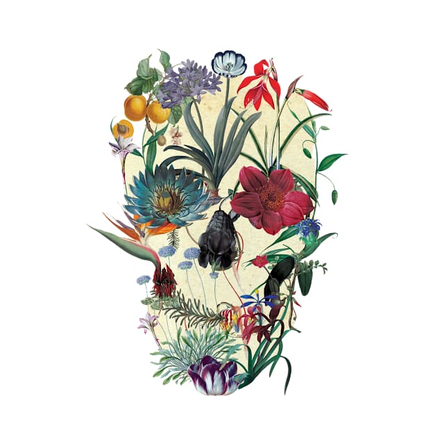 Botanical Skull by aligulec