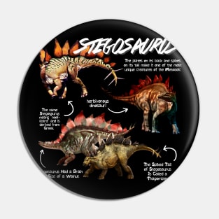 Stegosaurus Fun Facts Pin