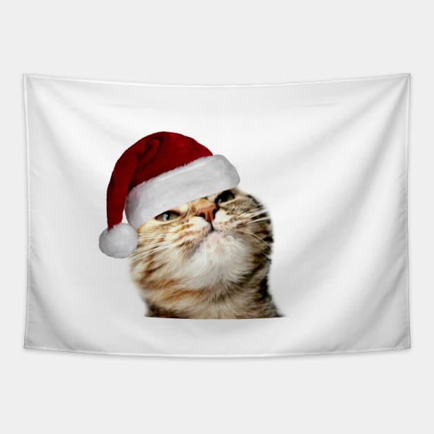 Christmas Is About Me Tapestry by Ladymoose