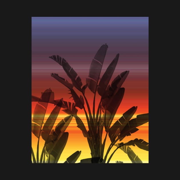 TropicL banana leaves on sunset background romantic print by likapix