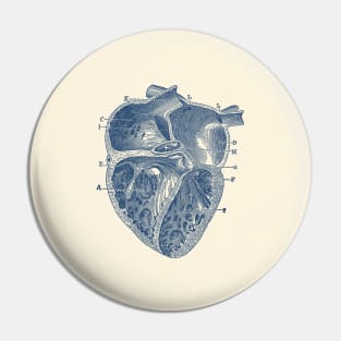 Inner Heart Diagram - Vintage Anatomy Pin