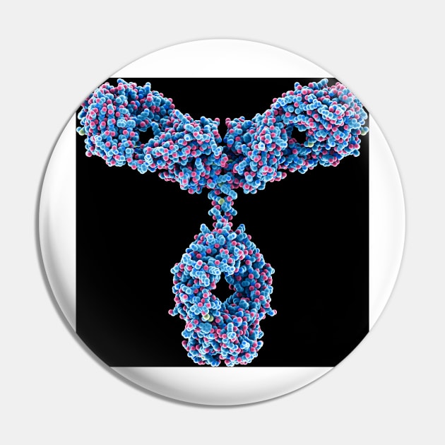 Immunoglobulin G antibody molecule (C019/7144) Pin by SciencePhoto