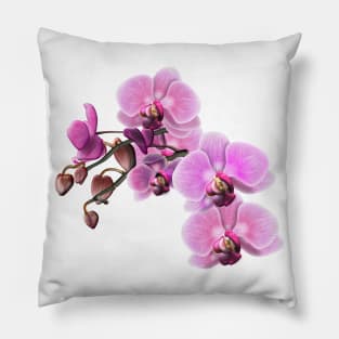 Pink and White Orchids Pillow
