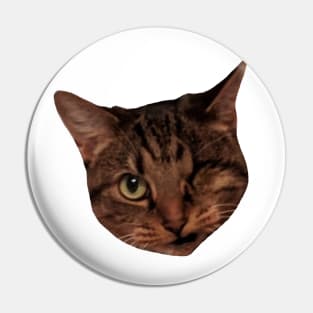 Lizzy the One-eyed cat Pin