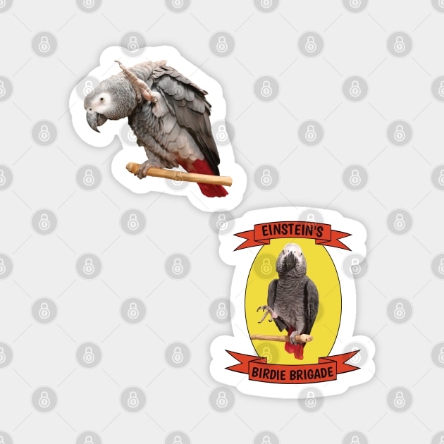 Einstein Parrot Sticker Pack Duo Small Magnet by Einstein Parrot