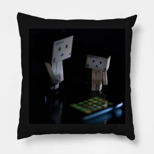 Danbo Learns About the World Pillow