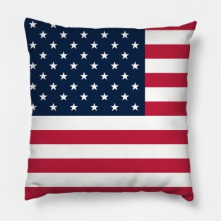 USA Flag Transparent Pillow