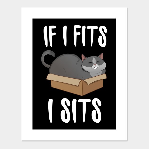 If I Fits I Sits Cat In A Box Funny Cat Posters And Art