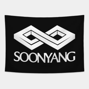 Reborn Rich: Soonyang Tapestry