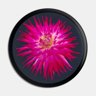 Spiky Dark Pink Cactus Dahlia Flower Circle Frame Pin