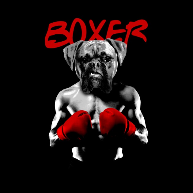 Boxer by NakedMonkey