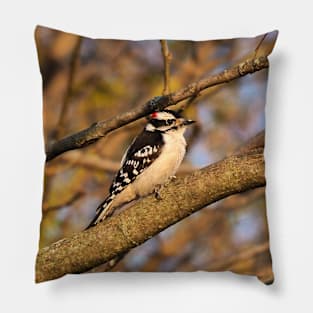 Male Downy Woodpecker Perched In A Tree Pillow