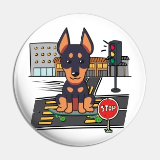 Funny alsatian is on a skateboard Pin