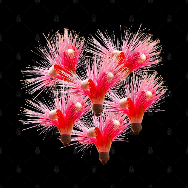 Shaving Brush flower composition by dalyndigaital2@gmail.com