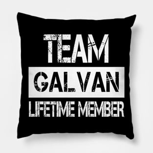 Galvan Pillow