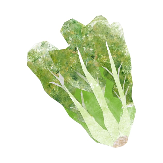 Lettuce by Babban Gaelg