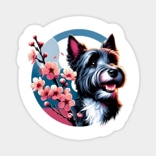 Scottish Terrier Enjoys Spring's Cherry Blossoms Magnet