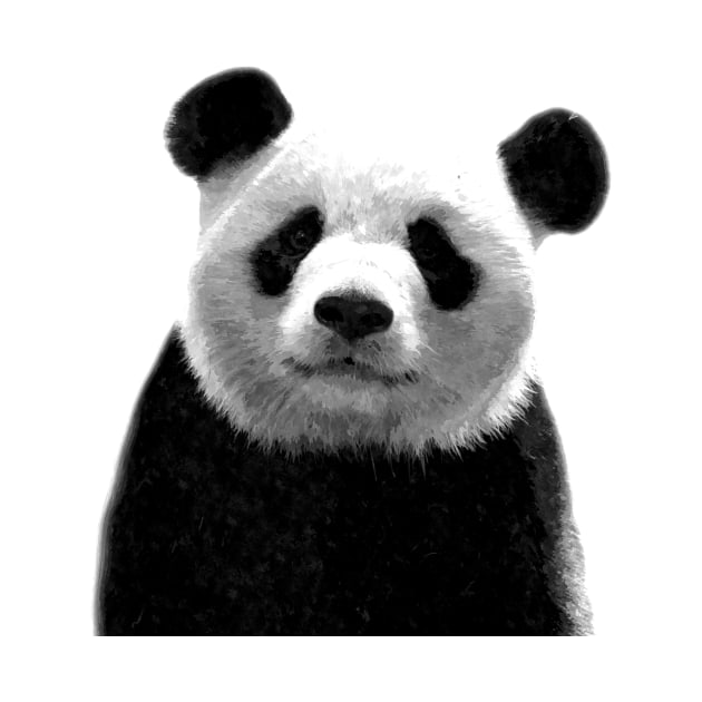 Black and White Panda by Alemi