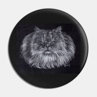 Persian Cat Pin