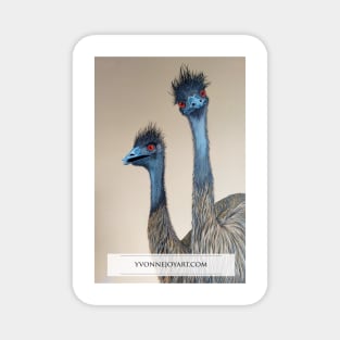 Australian Emus Magnet