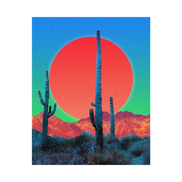 CACTI DREAMS by LFHCS