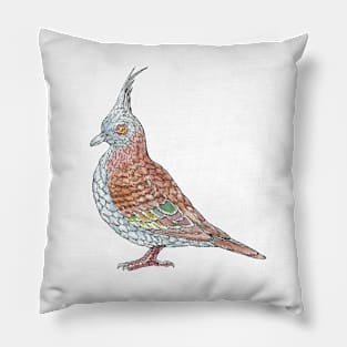 Crested Pigeon Pillow