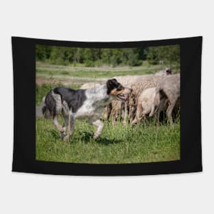 Sheep Dog Tapestry